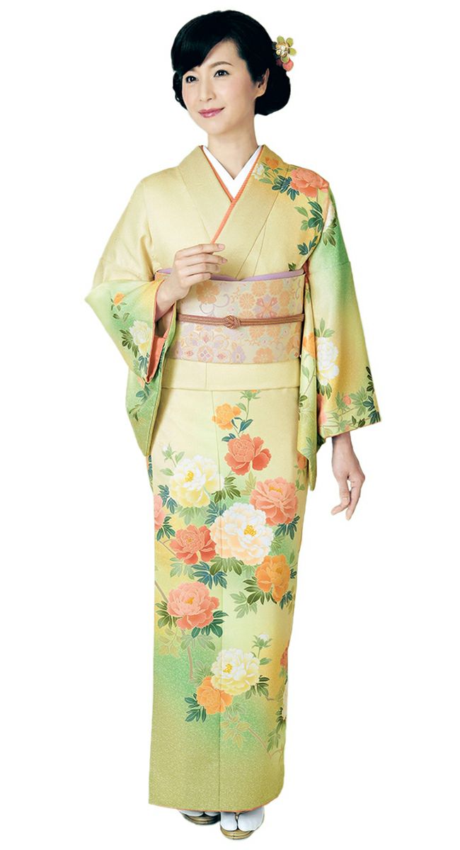 訪問着 HL) 着物 レディース 女性 フォーマル 礼装用 結婚式 宮参り