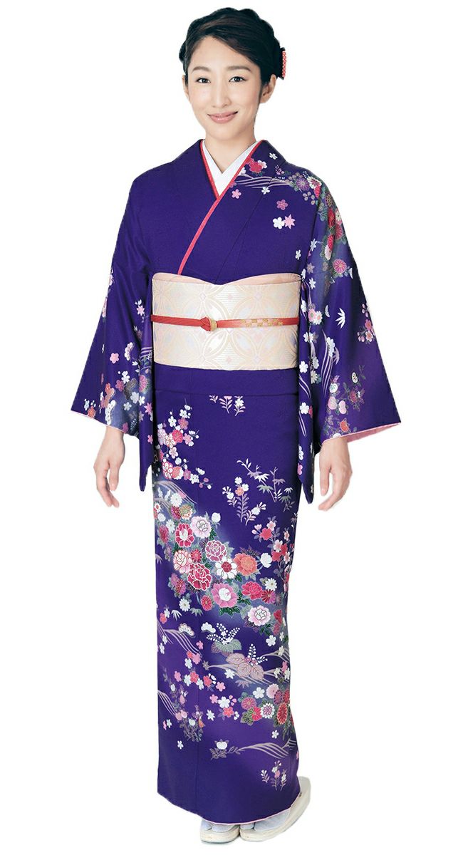 訪問着 HL) 着物 レディース 女性 フォーマル 礼装用 結婚式 宮参り