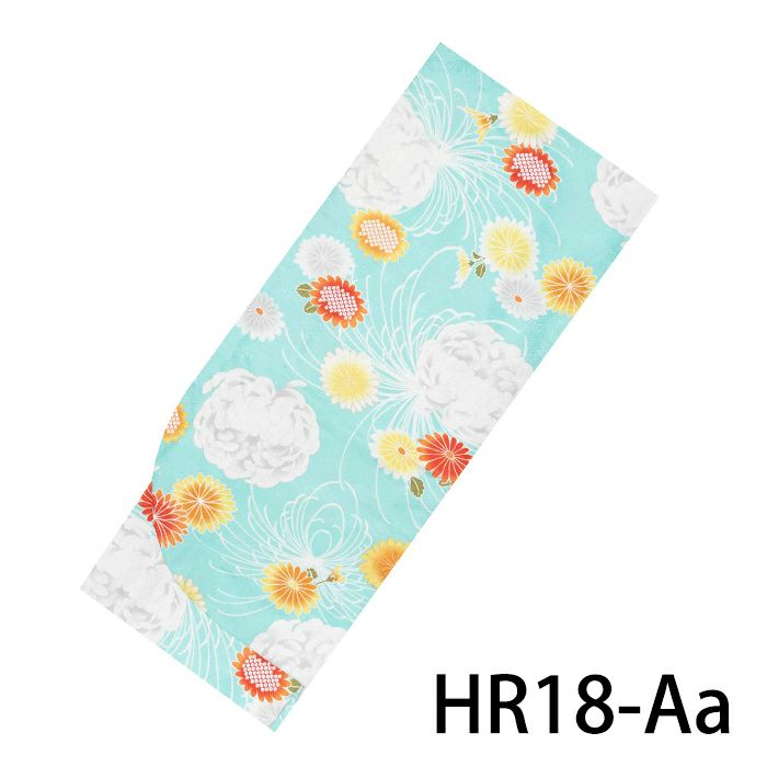 HR18-Aa