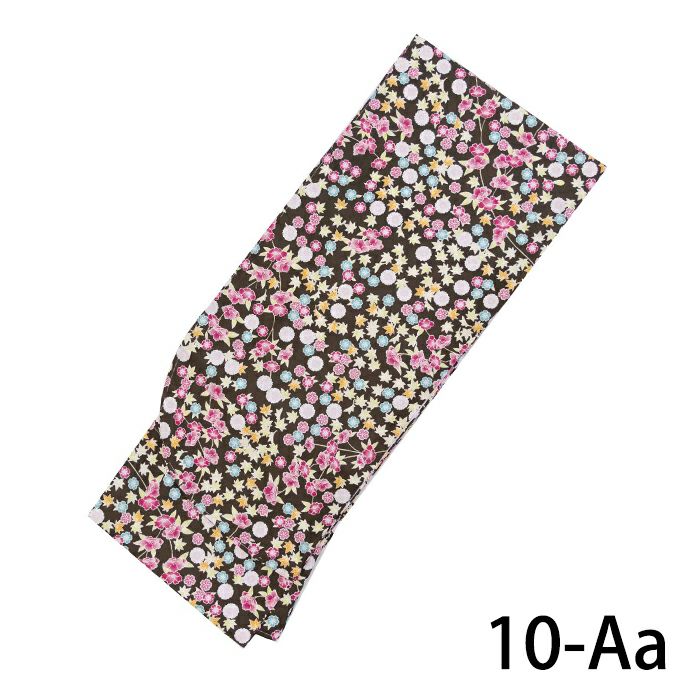 10-Aa